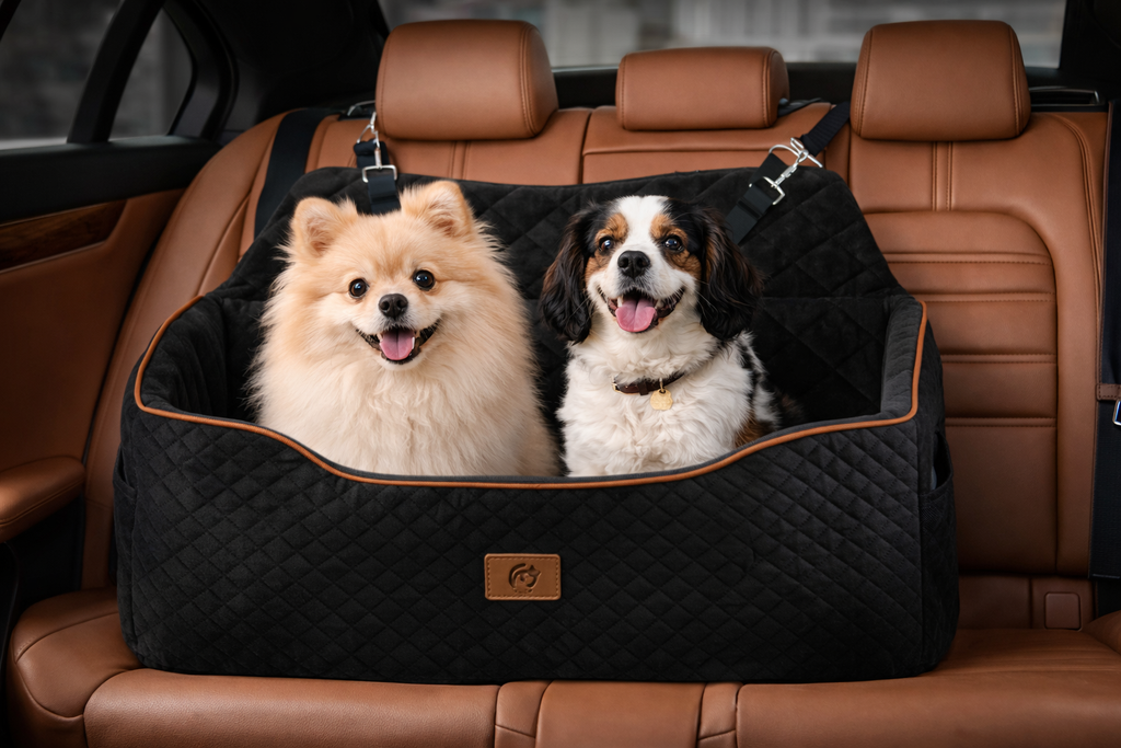 CozyPup Car Booster Seat
